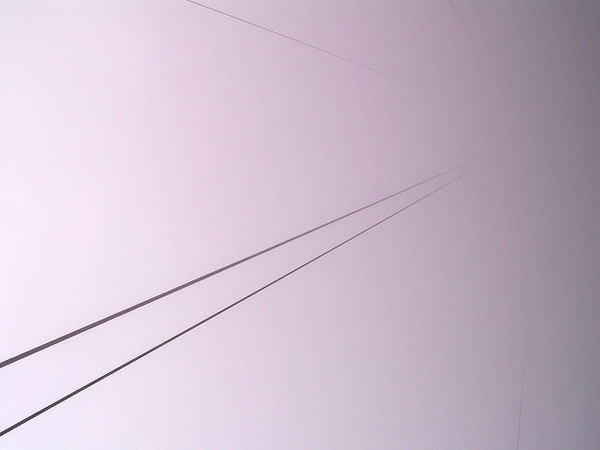 Wires in fog