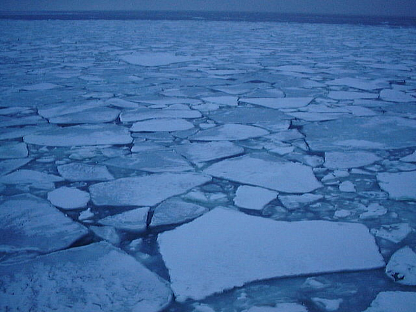 Drift ice sheets