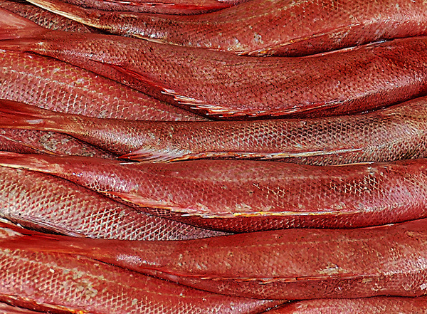 A stack of red fish