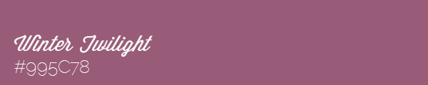 Colour swatch called Winter Twilight