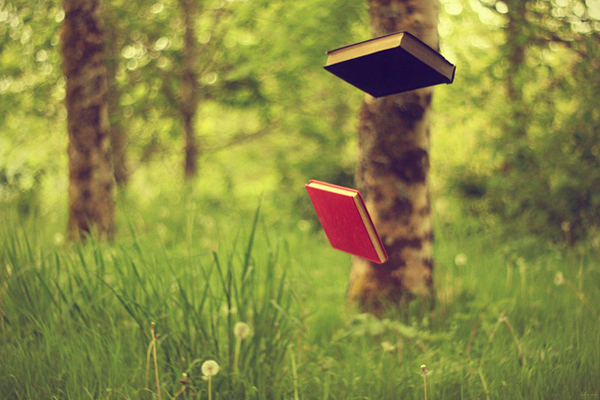 Two handcover books, one red and one black flying in a meadow