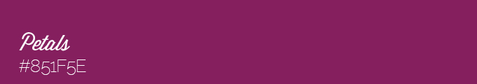 color swatch 851F5E