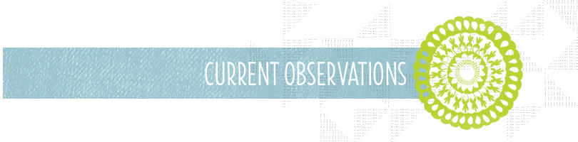 Current Observations blog header