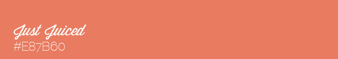 Colour swatch #E87B60