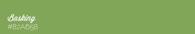 Colour swatch #82A658