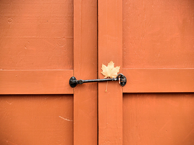 Door with a leaf caught in the latch