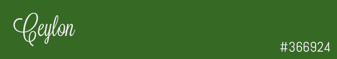 Colour swatch #366924