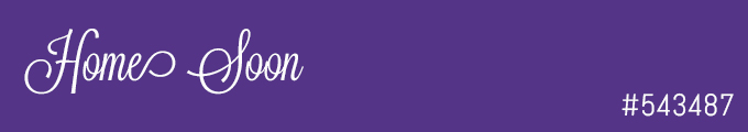 Colour swatch #543487