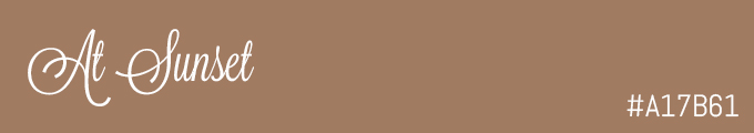 Colour swatch #A17B61