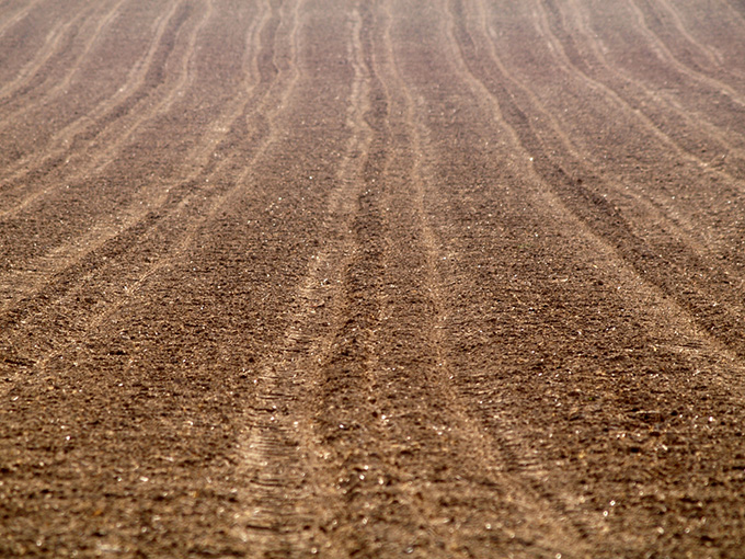 Ploughed field