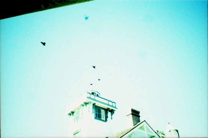 crows over a lighthouse