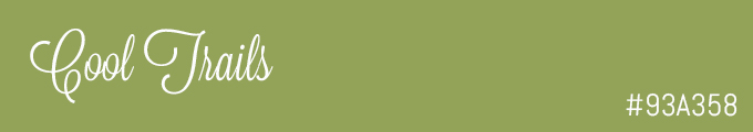 Colour swatch #93A358